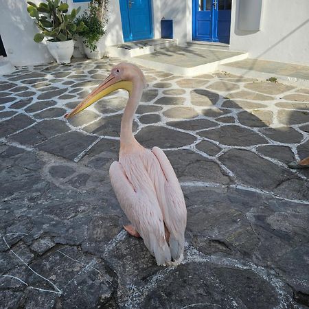 Lalaland Mykonos Town Exterior foto